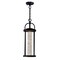 Cwi Lighting Greenwood LED Outdoor Black Pendant 0407P6-1-101 - alternate 2